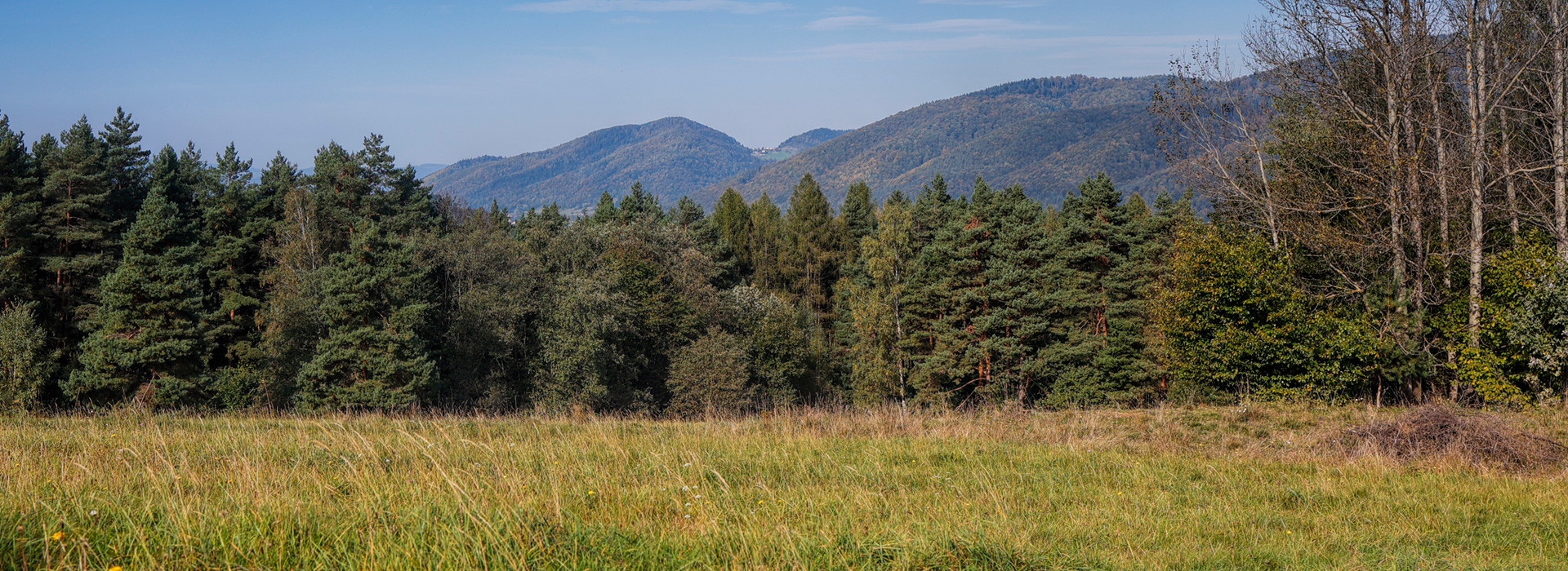 Beskid Sądecki a ty w samym jego centrum, wśród pięknej przyrody i czystego powietrza